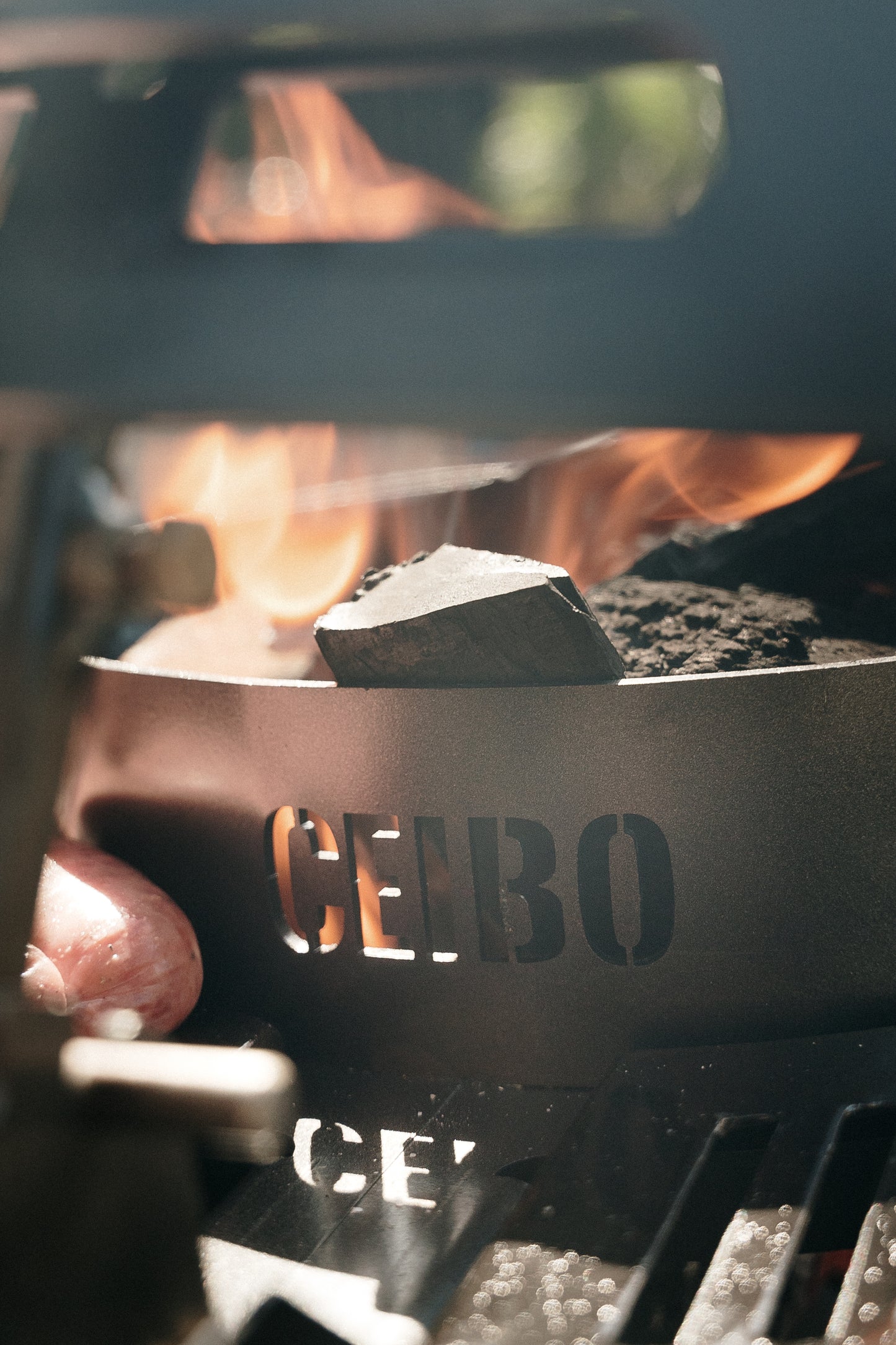 Fogonero Ceibo